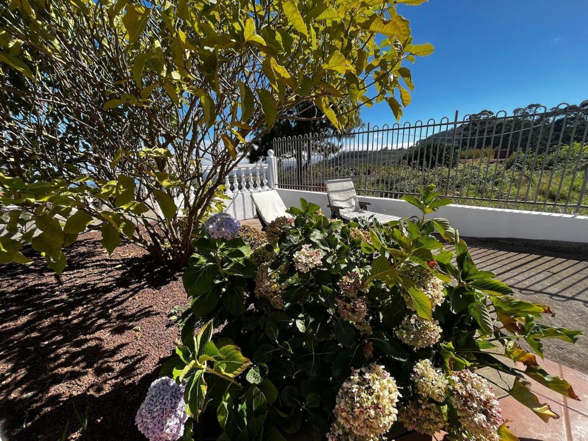 Lightbooking Agua Garcia Tacoronte Con Terraza Bagian luar foto